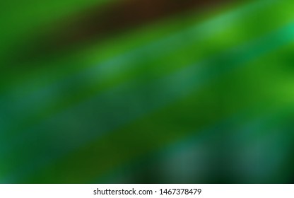 Light Green vector pattern with sharp lines. Shining colored illustration with sharp stripes. Template for your beautiful backgrounds.