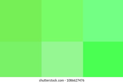 Light Green vector pattern with spectrum of colors. Abstract palette with samples of rainbow colors. Pattern of colors for design of ads, posters, banners.