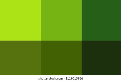 Light Green vector pattern with spectrum of colors. Illustration with set of spectral palette. Template of colors for smart designers.
