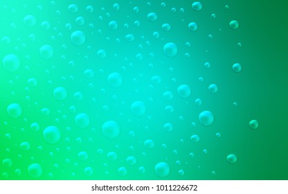 Light Green vector pattern with spheres.