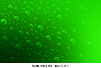 Light Green vector pattern with spheres. Illustration with set of shining colorful abstract circles. The pattern can be used for aqua ad, booklets.