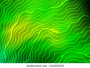 Light Green vector pattern with wavy lines. An elegant bright illustration with gradient. New composition for your brand book.