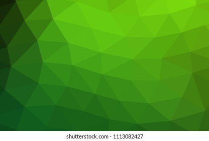 Light Green vector polygon abstract polygon abstract. Shining illustration, which consist of triangles. Brand new style for your business design.