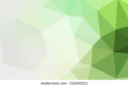 Light Green vector polygon abstract backdrop. Glitter abstract illustration with an elegant triangles. Textured pattern for your backgrounds.