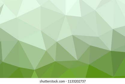 Light Green vector polygon abstract backdrop. Glitter abstract illustration with an elegant triangles. A new texture for your web site.