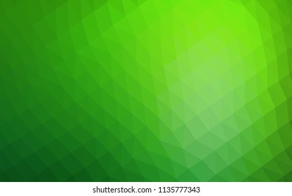 Light Green vector polygon abstract backdrop. Shining colored illustration in a Brand new style. The textured pattern can be used for background.