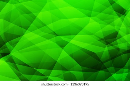 Light Green vector polygon abstract backdrop. Creative illustration in halftone style with triangles. Triangular pattern for your design.