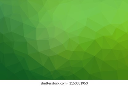 Light Green vector polygon abstract background. A completely new color illustration in a vague style. Triangular pattern for your business design.