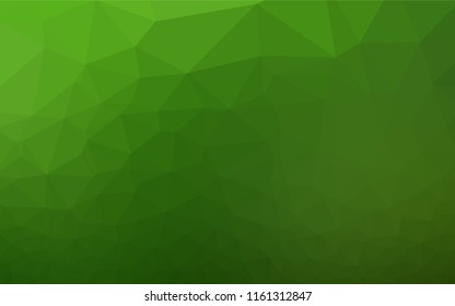 Light Green vector polygon abstract background. Colorful illustration in abstract style with gradient. A completely new template for your business design.