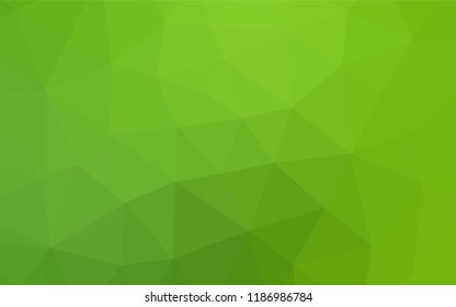 Light Green vector polygon abstract backdrop. A completely new color illustration in a vague style. A completely new design for your business.