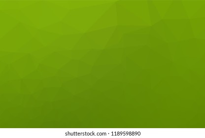 Light Green vector polygon abstract backdrop. Glitter abstract illustration with an elegant design. A completely new template for your business design.