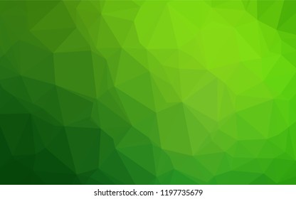 Light Green vector polygon abstract background. Geometric illustration in Origami style with gradient.  The best triangular design for your business.