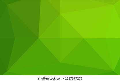Light Green vector polygon abstract backdrop. Brand new colored illustration in blurry style with gradient. The completely new template can be used for your brand book.