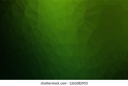 Light Green vector polygon abstract backdrop. Shining illustration, which consist of triangles. The textured pattern can be used for background.