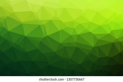 Light Green vector polygon abstract backdrop. Brand new colorful illustration in with gradient. Brand new design for your business. Light Green vector polygon abstract backdrop. Brand new colorful illustration in with gradient. Brand new design for your business.