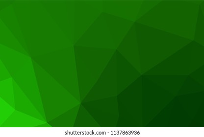 Light Green vector polygonal background. Colorful abstract illustration with triangles. A completely new design for your leaflet.