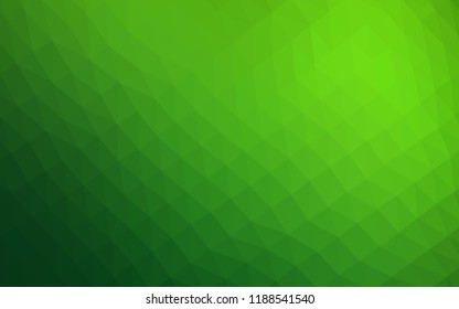 Light Green vector polygonal background. Glitter abstract illustration with an elegant design. The best triangular design for your business.