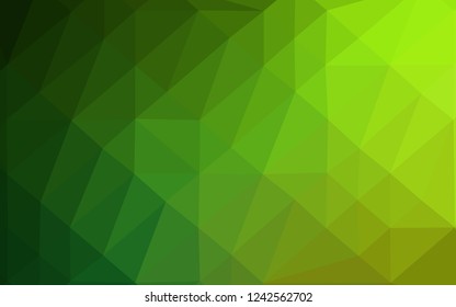 Light Green vector polygonal background. Colorful abstract illustration with gradient. Completely new template for your business design.