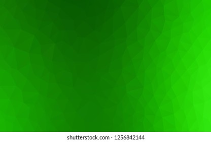 Light Green vector polygonal background. Creative geometric illustration in Origami style with gradient. A completely new design for your leaflet.