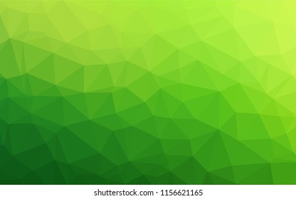 Light Green vector polygonal pattern. A sample with polygonal shapes. The completely new template can be used for your brand book.