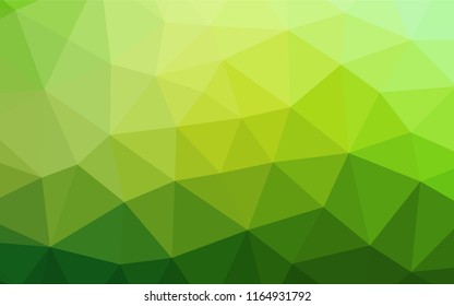 Light Green vector polygonal pattern. Glitter abstract illustration with an elegant design. A new texture for your design.