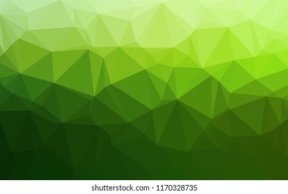 Light Green vector polygonal pattern. A completely new color illustration in a vague style. The completely new template can be used for your brand book.