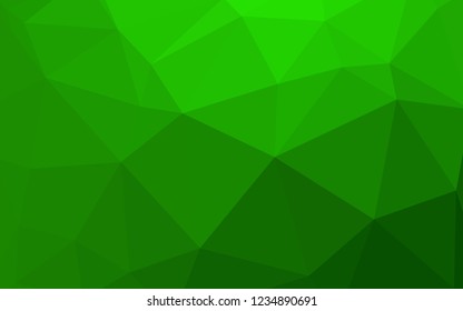 Light Green vector polygonal pattern. A sample with polygonal shapes. Polygonal design for your web site.