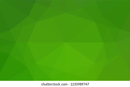 Light Green vector polygonal pattern. Shining illustration, which consist of triangles. The best triangular design for your business.