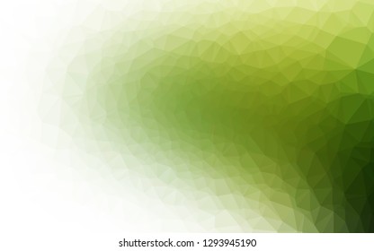 Light Green vector polygonal pattern. Glitter abstract illustration with an elegant design. Polygonal design for your web site.