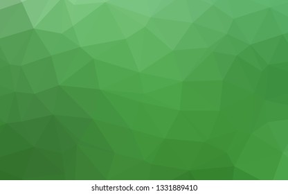 Light Green vector polygonal pattern. Colorful illustration in abstract style with gradient. Elegant pattern for a brand book.