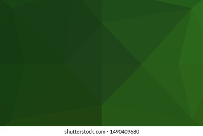 Light Green vector polygonal pattern. Glitter abstract illustration with an elegant design. The polygonal design can be used for your web site.