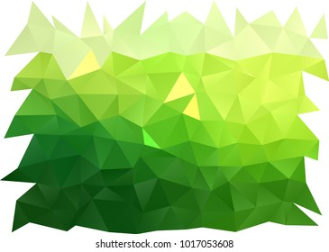 Light Green vector polygonal template. A completely new color illustration in a vague style. A completely new template for your business design.