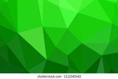 Light Green vector polygonal template. Colorful illustration in abstract style with triangles. A completely new design for your leaflet.