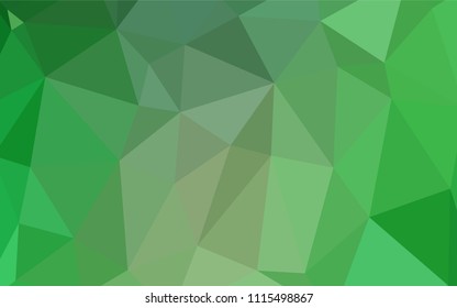 Light Green vector polygonal template. Creative geometric illustration in Origami style with gradient. The polygonal design can be used for your web site.