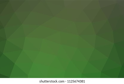 Light Green vector polygonal template. Shining illustration, which consist of triangles. A new texture for your design.