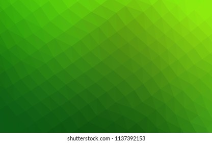 Light Green vector polygonal template. A sample with polygonal shapes. The polygonal design can be used for your web site.