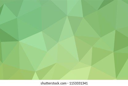 Light Green vector polygonal template. Colorful illustration in polygonal style with gradient. Brand new design for your business.