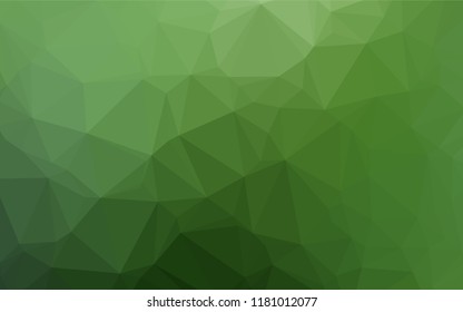 Light Green vector polygonal template. A sample with polygonal shapes. The best triangular design for your business.