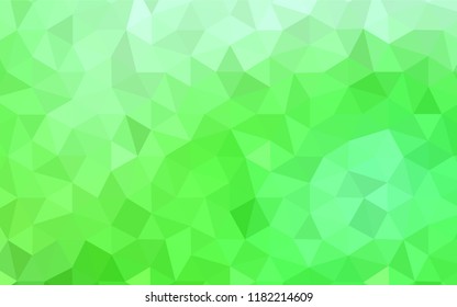Light Green vector polygonal template. Shining colorful illustration with triangles. Polygonal design for your web site.