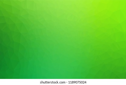 Light Green vector polygonal template. A completely new color illustration in a vague style. A completely new template for your business design.