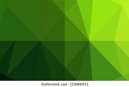 Light Green vector polygonal template. An elegant bright illustration with gradient. A completely new template for your business design.