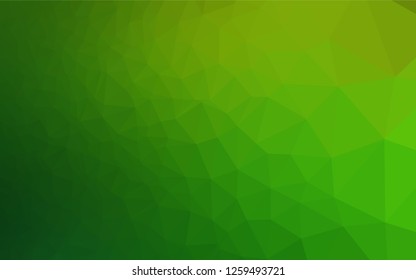 Light Green vector polygonal template. Shining colored illustration in a Brand new style. Triangular pattern for your business design.