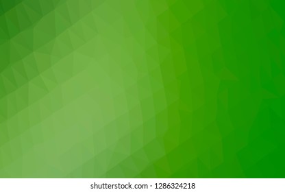 Light Green vector polygonal template. A completely new color illustration in a vague style. The best triangular design for your business.