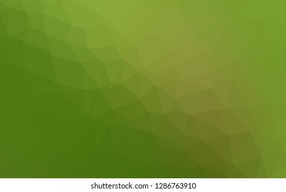 Light Green vector polygonal template. Brand new colorful illustration in with gradient. Template for your brand book.