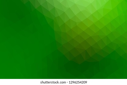 Light Green vector polygonal template. Shining illustration, which consist of triangles. Completely new template for your business design.