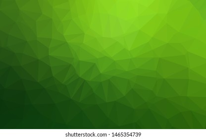 Light Green vector polygonal template. A vague abstract illustration with gradient. Completely new design for your business.