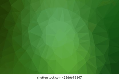 Light Green vector polygonal template. A completely new color illustration in a vague style. Polygonal design for your web site.