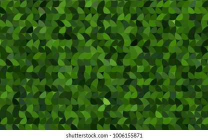 Light Green vector red pattern of geometric circles, shapes. Colorful mosaic banner. Geometric background with colored disks.