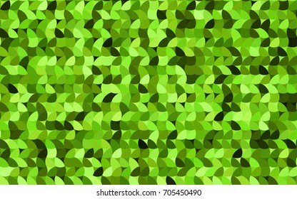 Light Green vector red pattern of geometric circles, shapes. Colorful mosaic banner. Geometric background with colored disks.