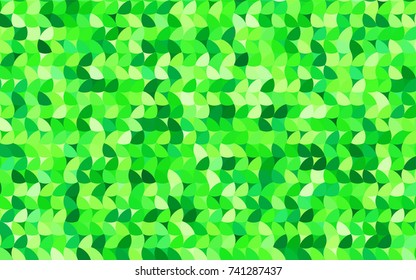 Light Green vector red pattern of geometric circles, shapes. Colorful mosaic banner. Geometric background with colored disks.